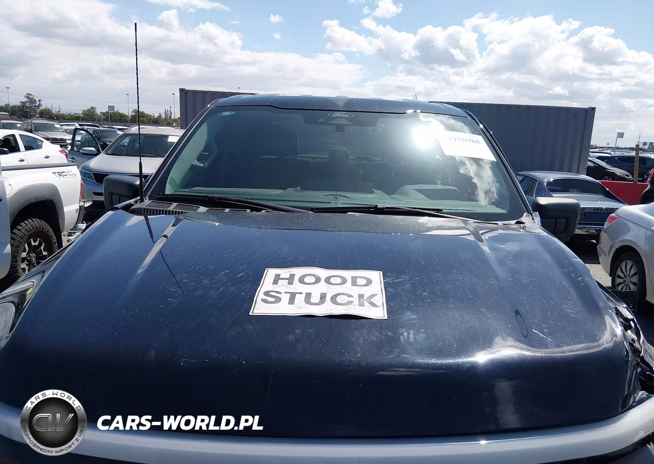 2024 Ford F-150 Lightning Xlt VIN:1FTVW3LK0RWG07299 - 10