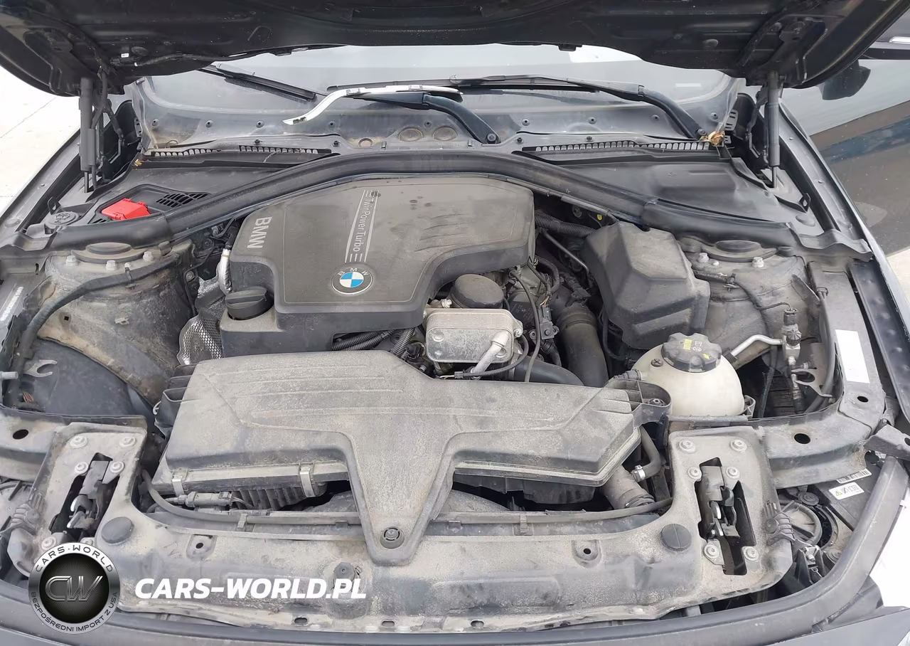 2016 BMW 428I xDrive VIN:WBA3N9C56GK249537 - 10