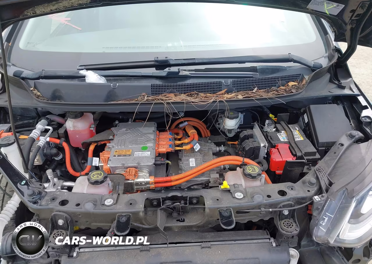 2019 Chevrolet Bolt Ev Premier VIN:1G1FZ6S06K4112385 - 10