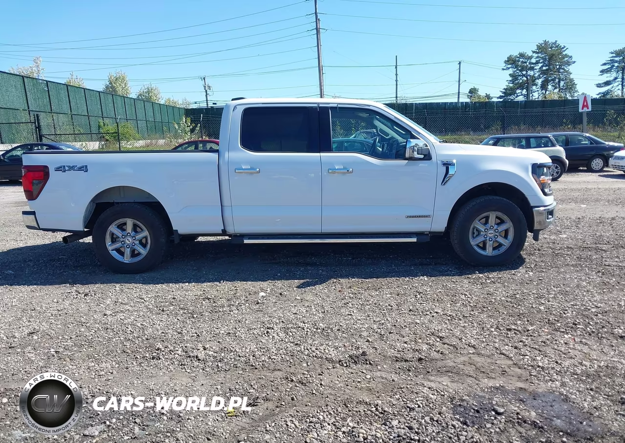 2024 Ford F-150 Xlt VIN:1FTFW3LD3RFA32556 - 13