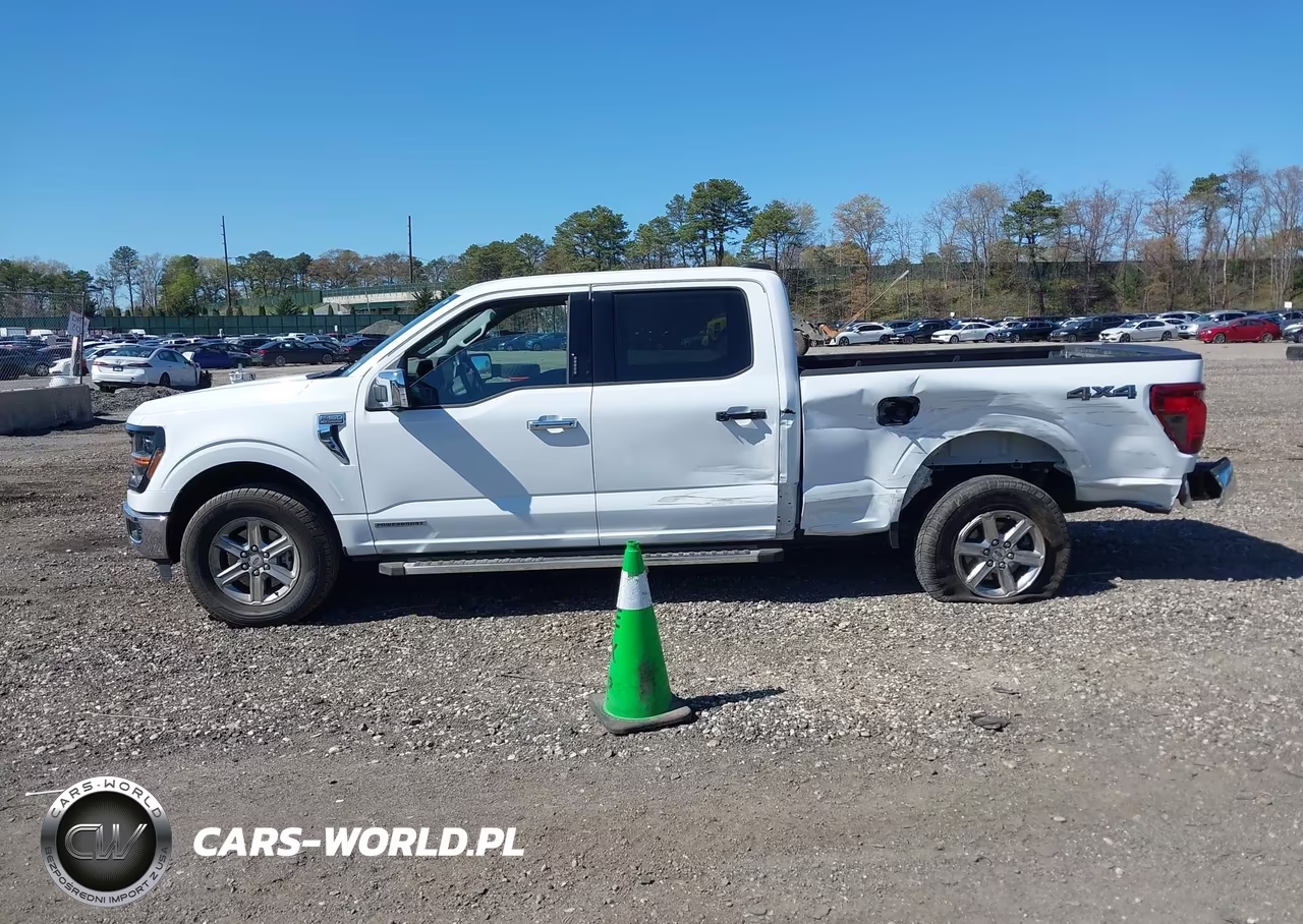 2024 Ford F-150 Xlt VIN:1FTFW3LD3RFA32556 - 14