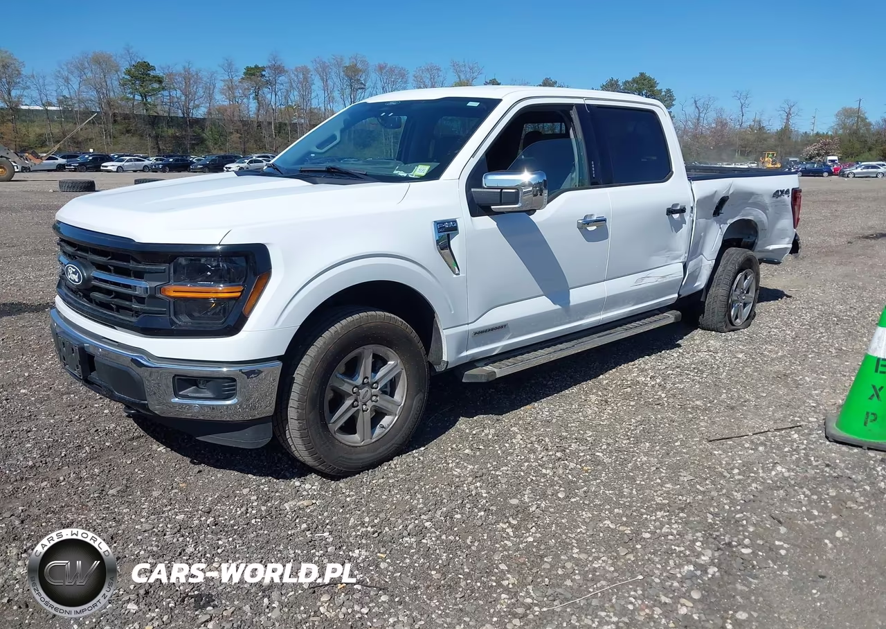 2024 Ford F-150 Xlt VIN:1FTFW3LD3RFA32556 - 2