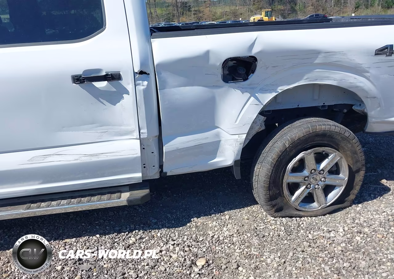2024 Ford F-150 Xlt VIN:1FTFW3LD3RFA32556 - 6