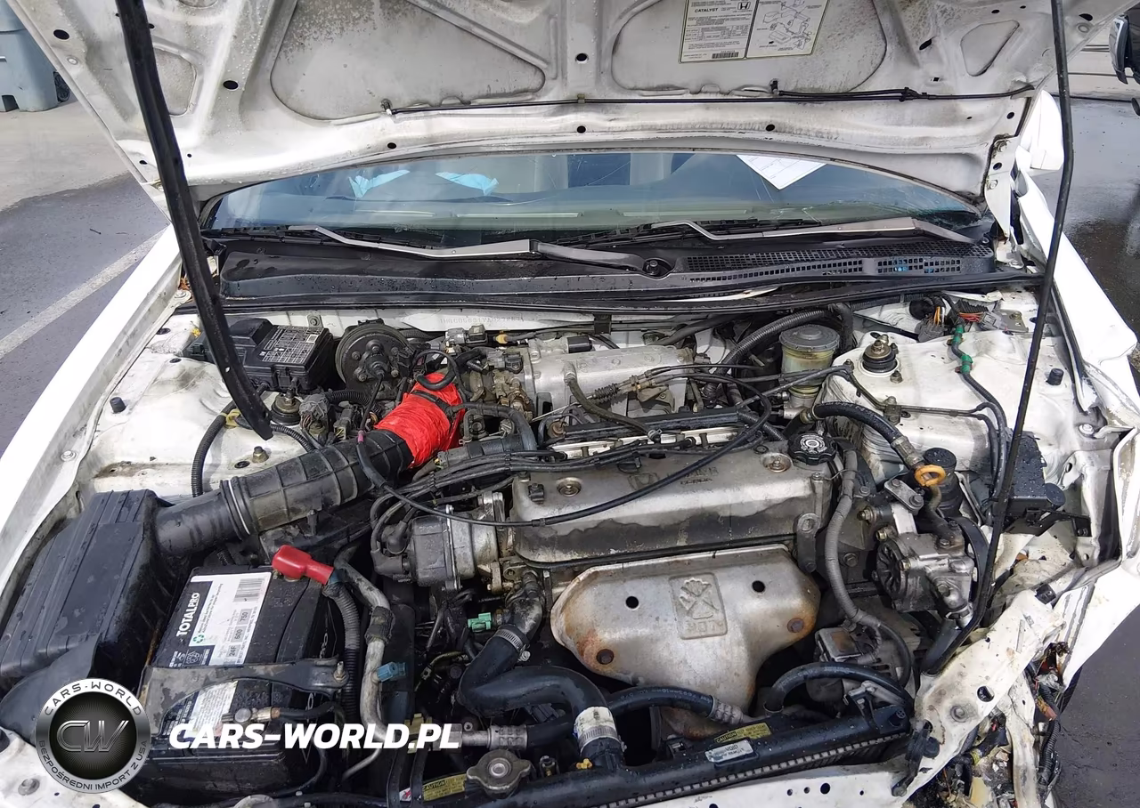 1997 Honda Accord Lx VIN:1HGCD5631VA027887 - 10