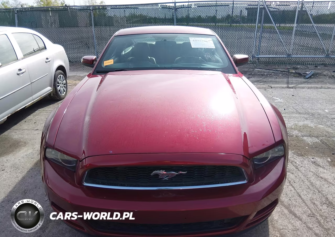 2014 Ford Mustang V6 Premium VIN:1ZVBP8AMXE5269182 - 12