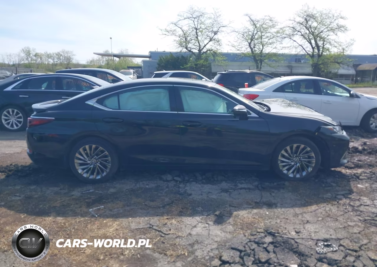 2024 Lexus Es 350 Luxury VIN:58AEZ1B15RU181257 - 13