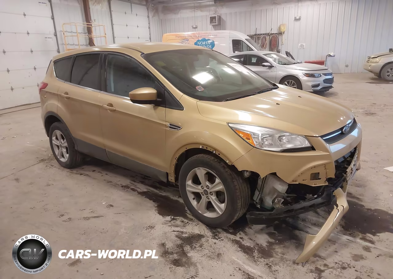 2014 Ford Escape Se