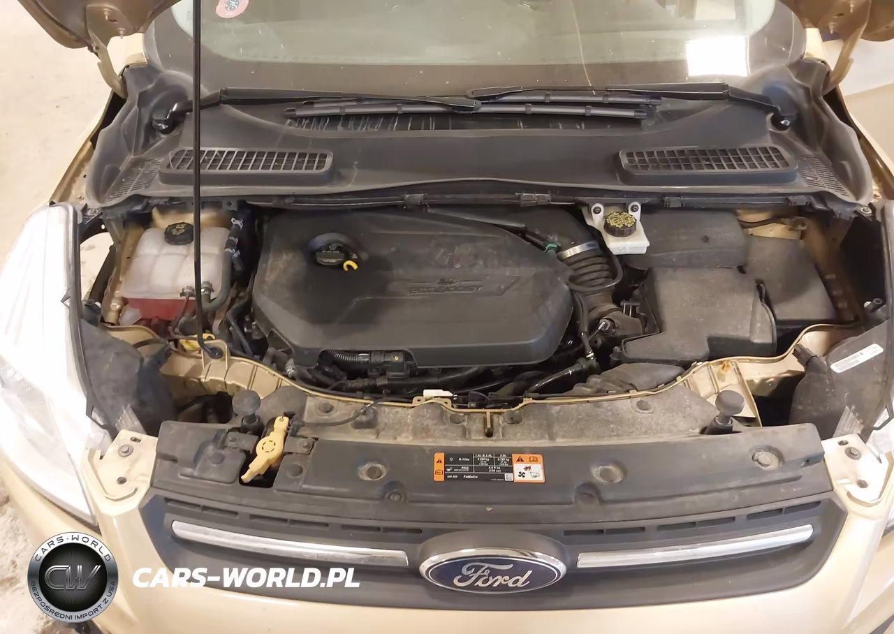 2014 Ford Escape Se VIN:1FMCU0GX6EUC43800 - 10