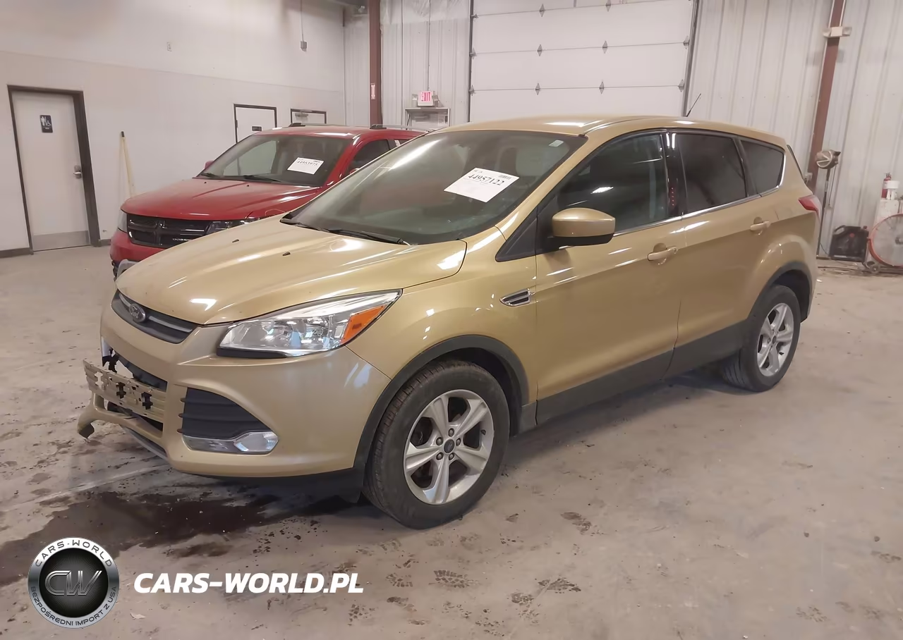 2014 Ford Escape Se VIN:1FMCU0GX6EUC43800 - 2
