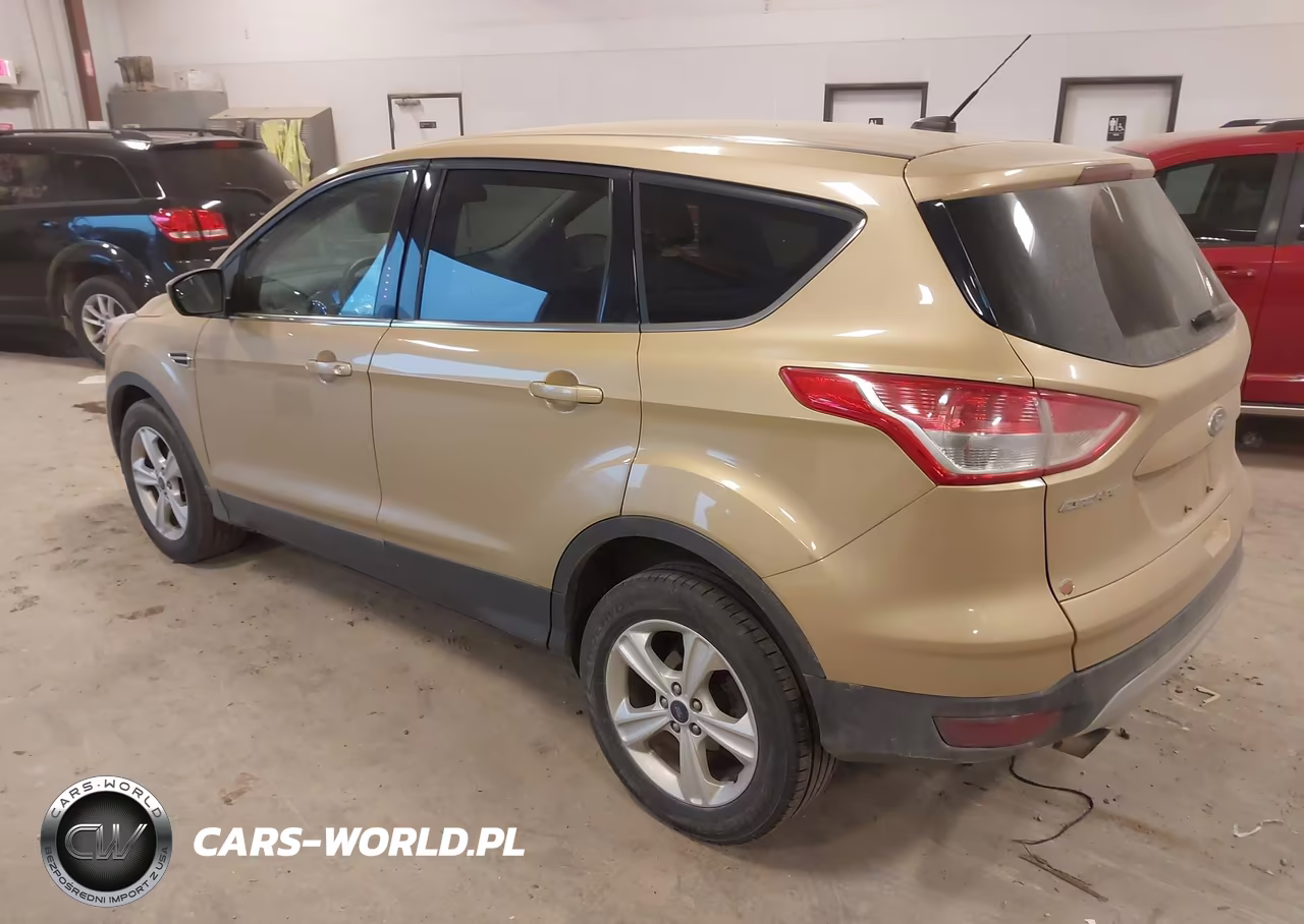2014 Ford Escape Se VIN:1FMCU0GX6EUC43800 - 3
