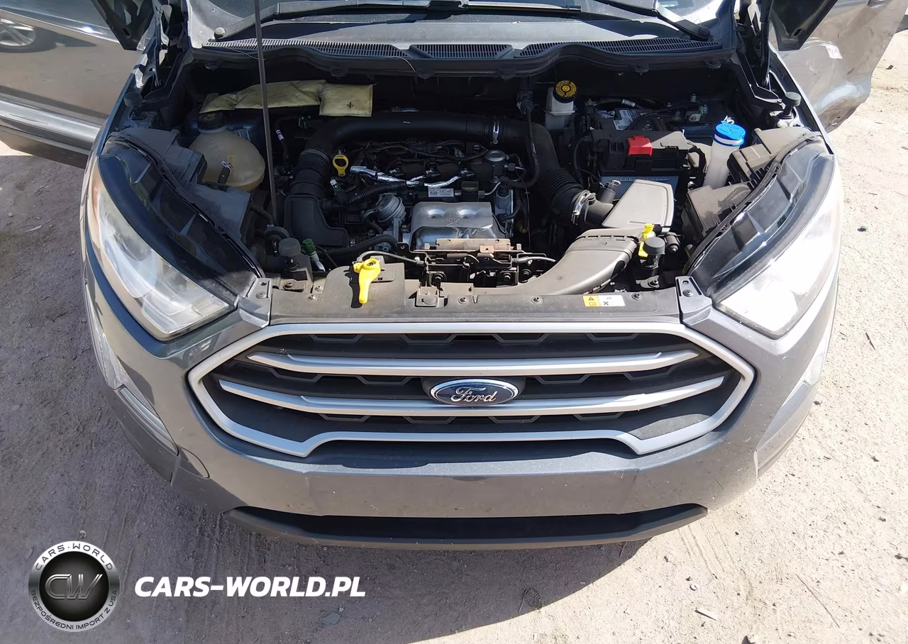 2018 Ford Ecosport Se VIN:MAJ3P1TE7JC183506 - 10