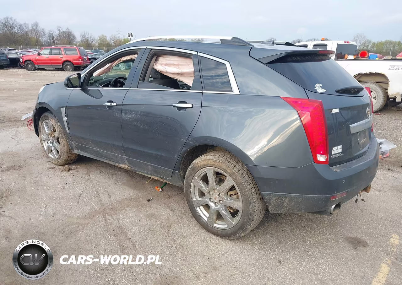 2011 Cadillac Srx Performance Collection VIN:3GYFNEEYXBS509736 - 3