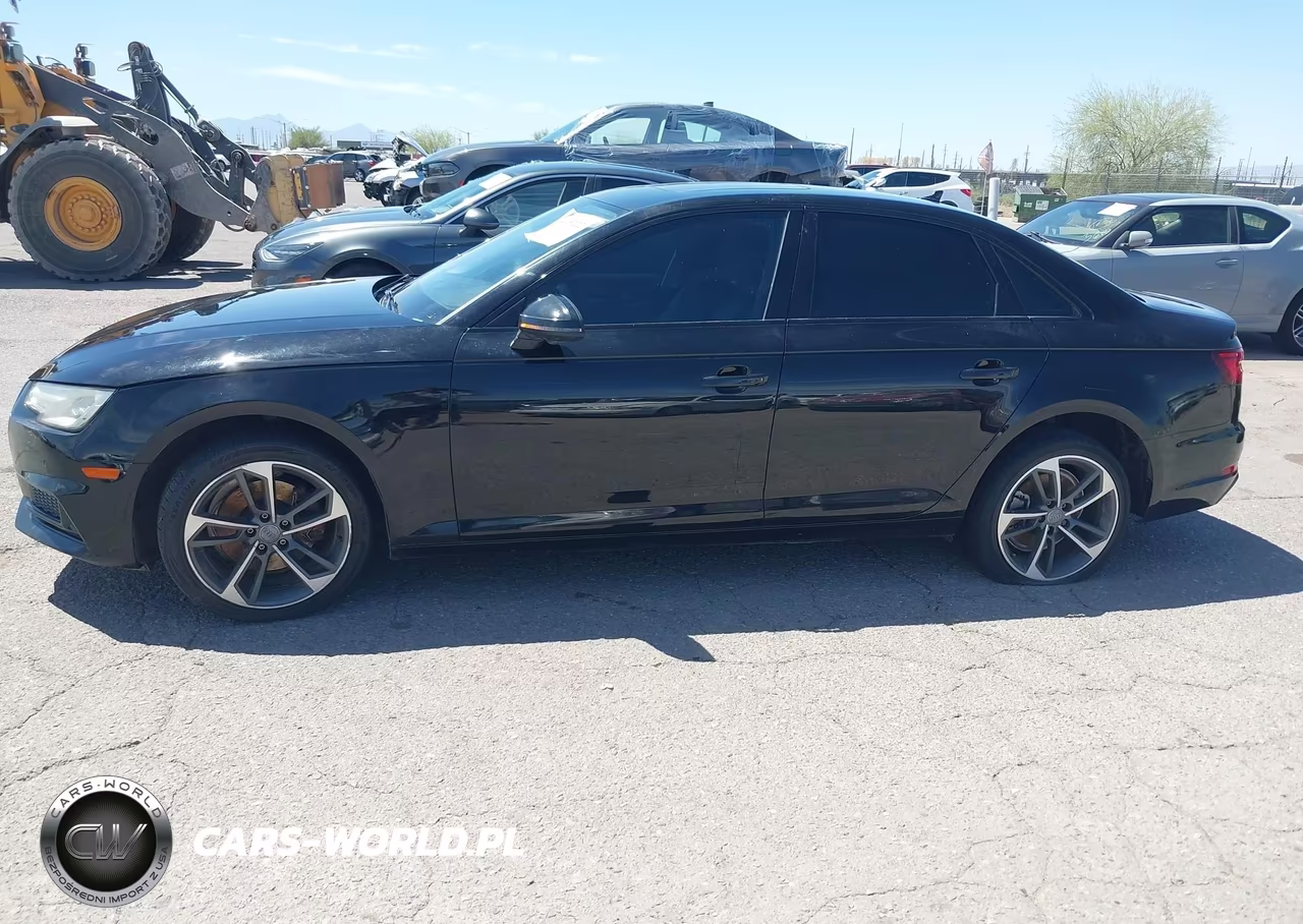 2019 Audi A4 40 Titanium Premium VIN:WAUGMAF42KN022605 - 13