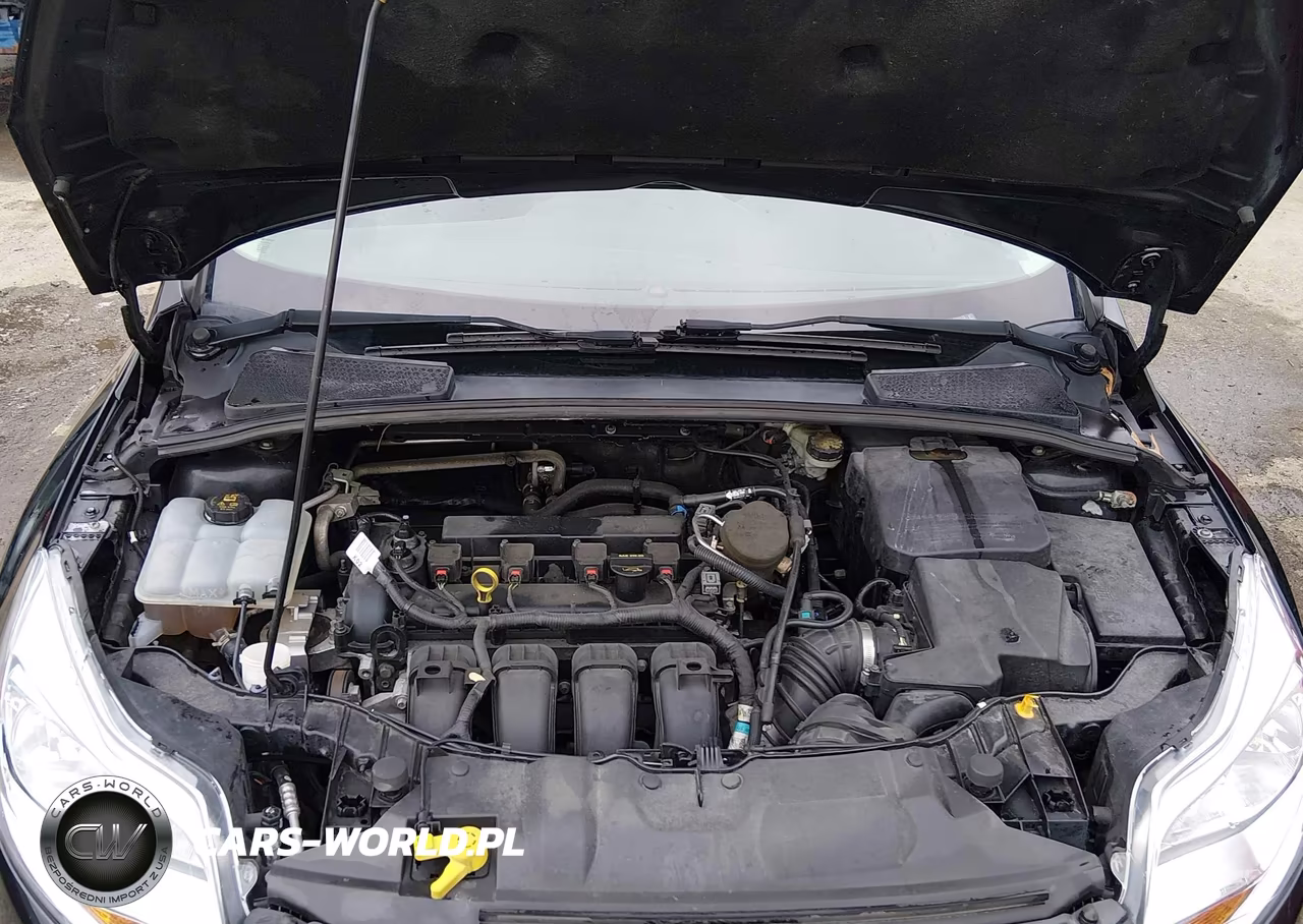 2013 Ford Focus Se VIN:1FADP3F26DL244172 - 10