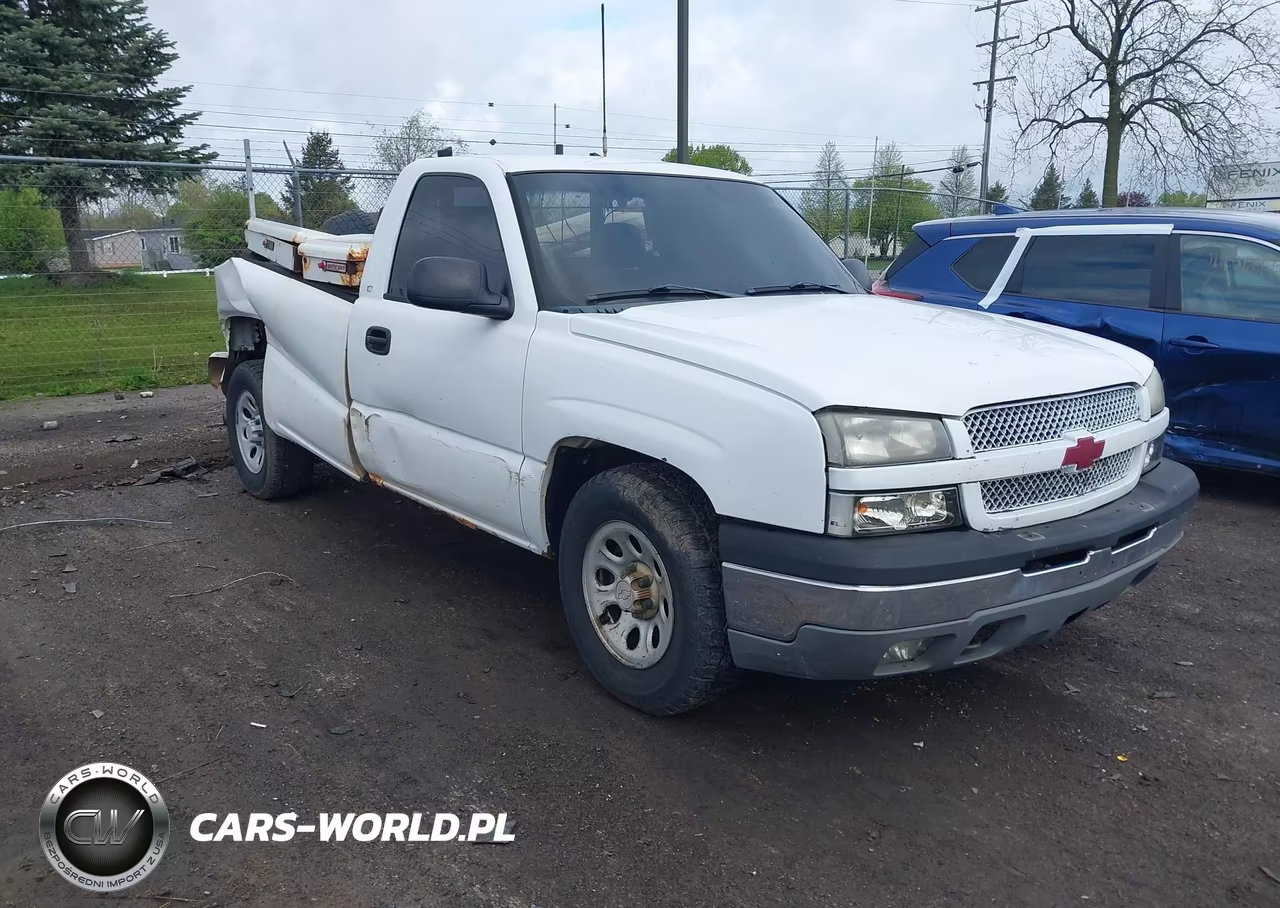 2005 Chevrolet Silverado 1500 Work Truck