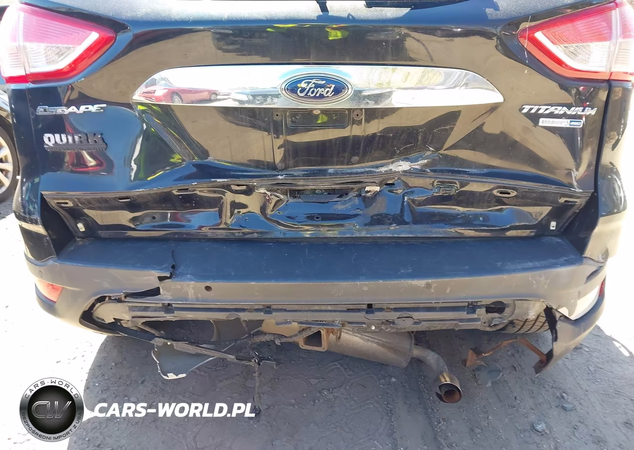 2014 FORD ESCAPE TITANIUM VIN:1FMCU9J94EUA56456 - 12