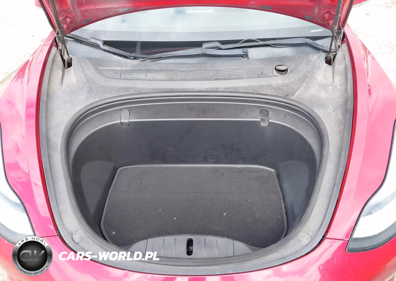 2019 Tesla Model 3 Long Range-Mid Range-Standard Range-Standard Range Plus VIN:5YJ3E1EA1KF299072 - 10