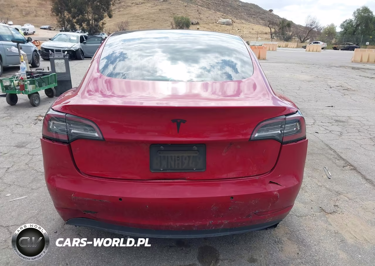 2019 Tesla Model 3 Long Range-Mid Range-Standard Range-Standard Range Plus VIN:5YJ3E1EA1KF299072 - 15