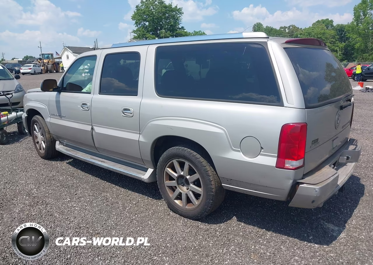 2004 Cadillac Escalade Esv Platinum Edition VIN:3GYFK66N94G318446 - 3