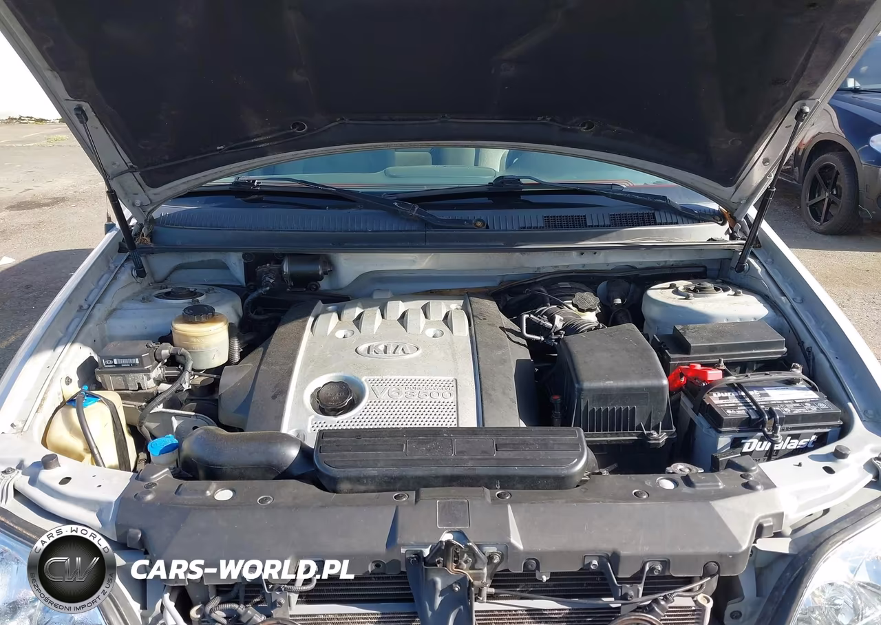 2005 Kia Sedona Ex-Lx VIN:KNDUP132X56709815 - 10