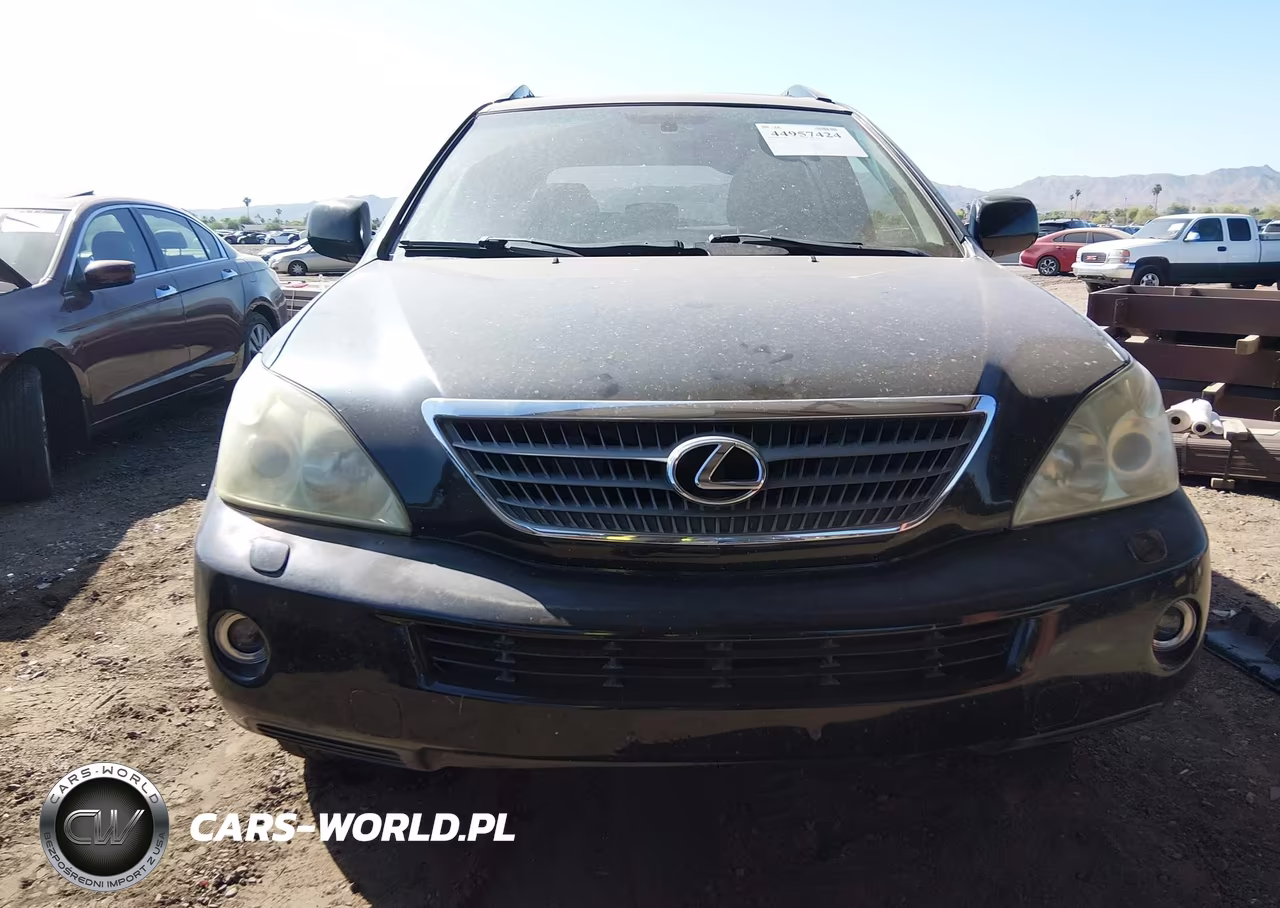 2006 Lexus Rx 400H VIN:JTJHW31U360023847 - 6
