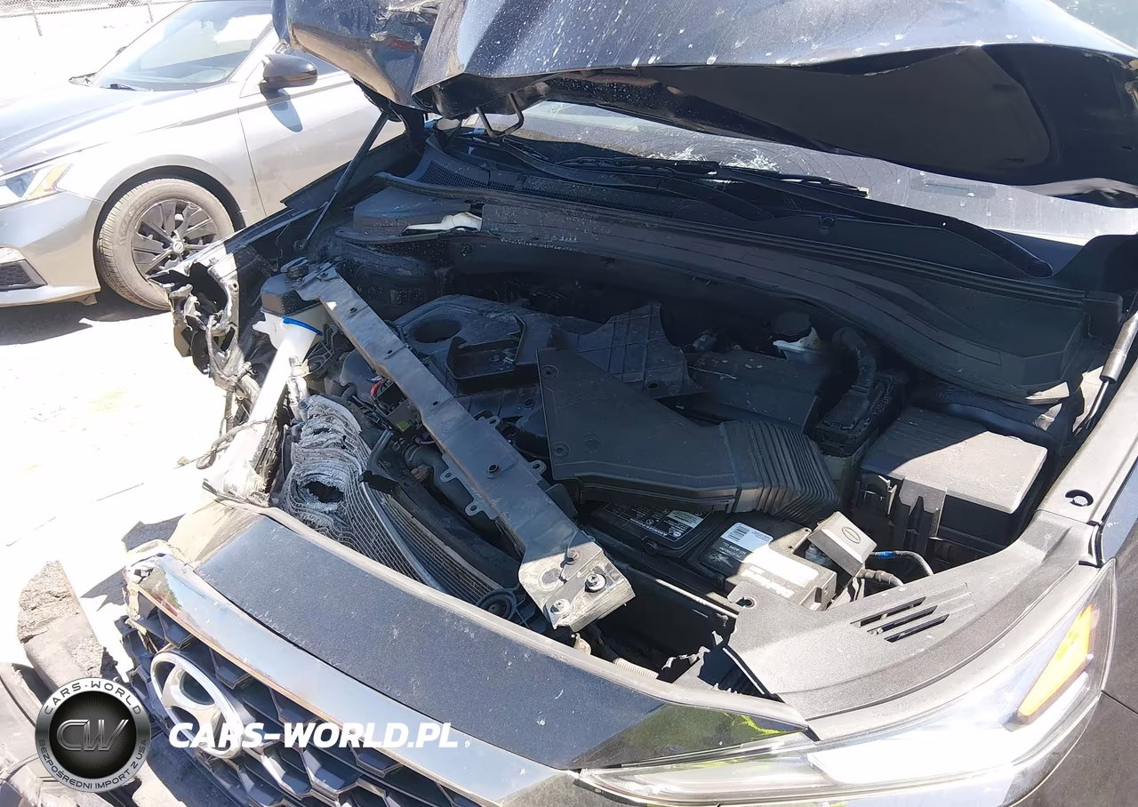 2019 Hyundai Santa Fe Ultimate VIN:5NMS5CAD6KH002173 - 10