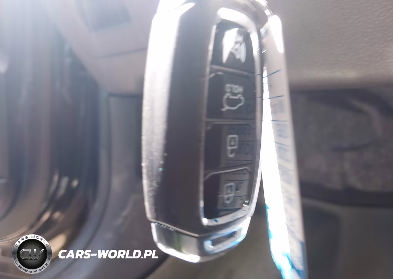 2019 Hyundai Santa Fe Ultimate VIN:5NMS5CAD6KH002173 - 11
