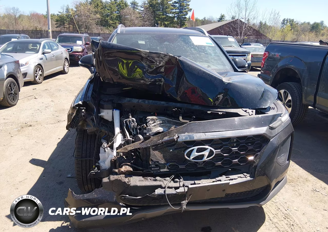 2019 Hyundai Santa Fe Ultimate VIN:5NMS5CAD6KH002173 - 12