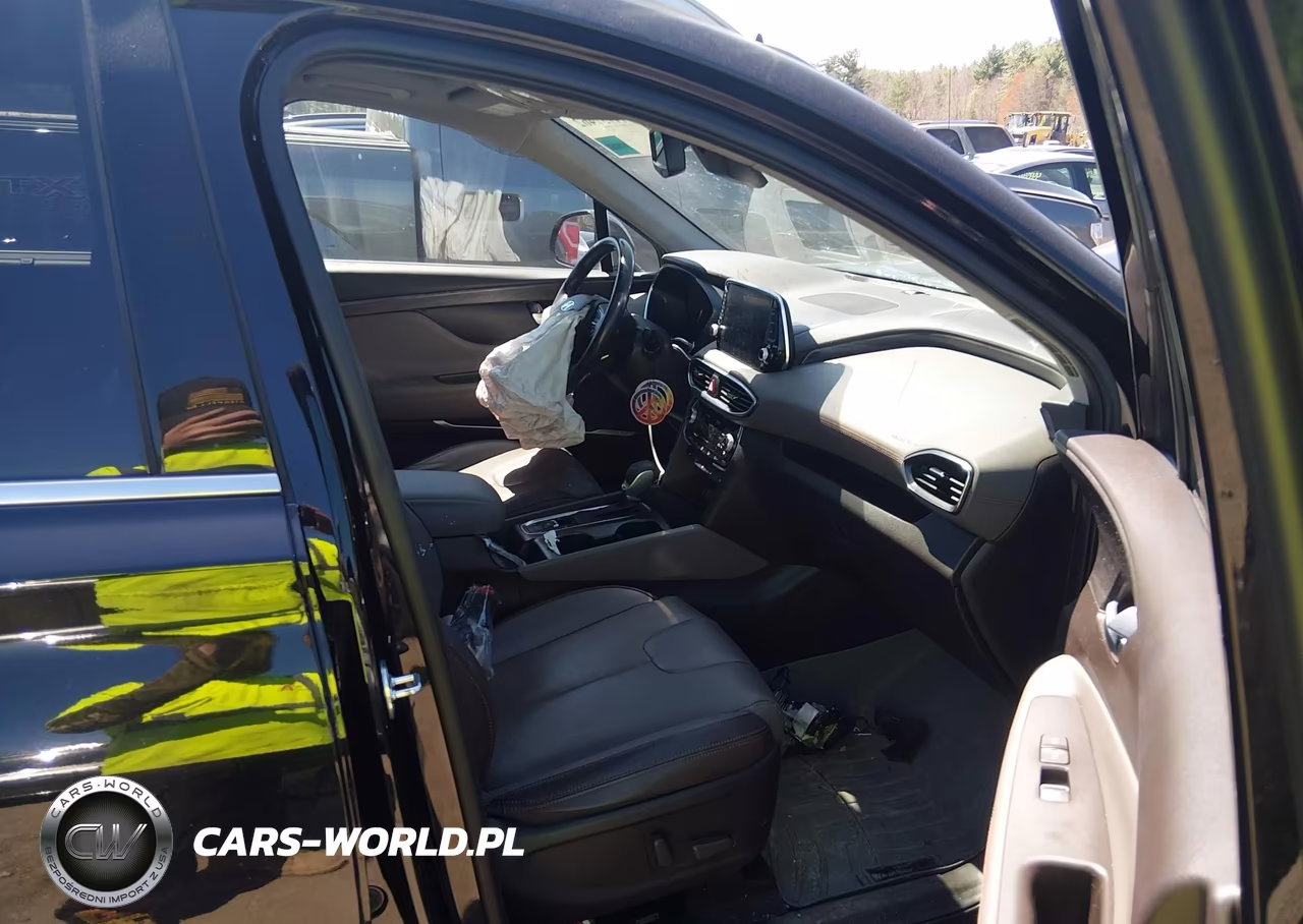 2019 Hyundai Santa Fe Ultimate VIN:5NMS5CAD6KH002173 - 5