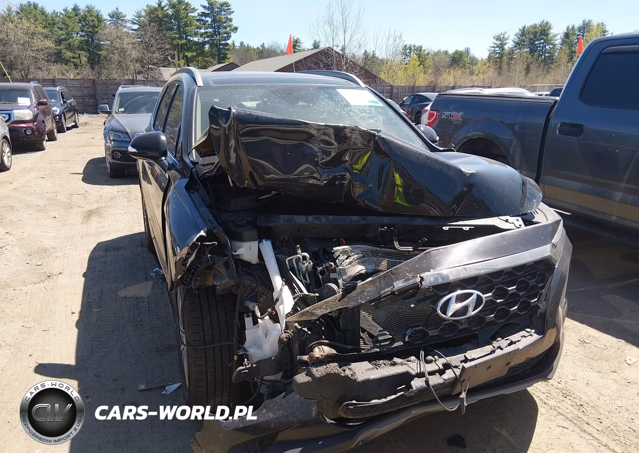 2019 Hyundai Santa Fe Ultimate VIN:5NMS5CAD6KH002173 - 6
