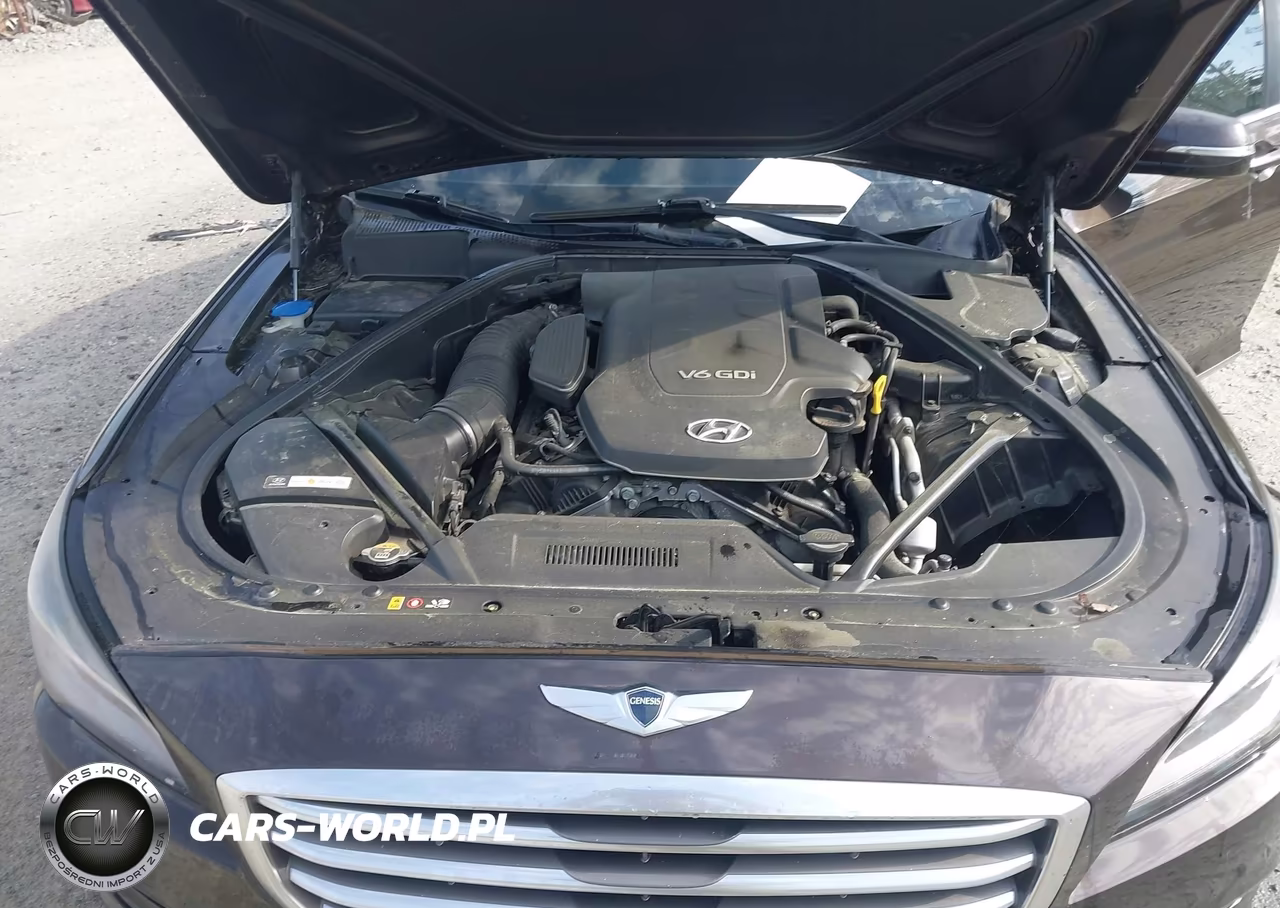 2015 Hyundai Genesis 3.8 VIN:KMHGN4JE5FU066834 - 10