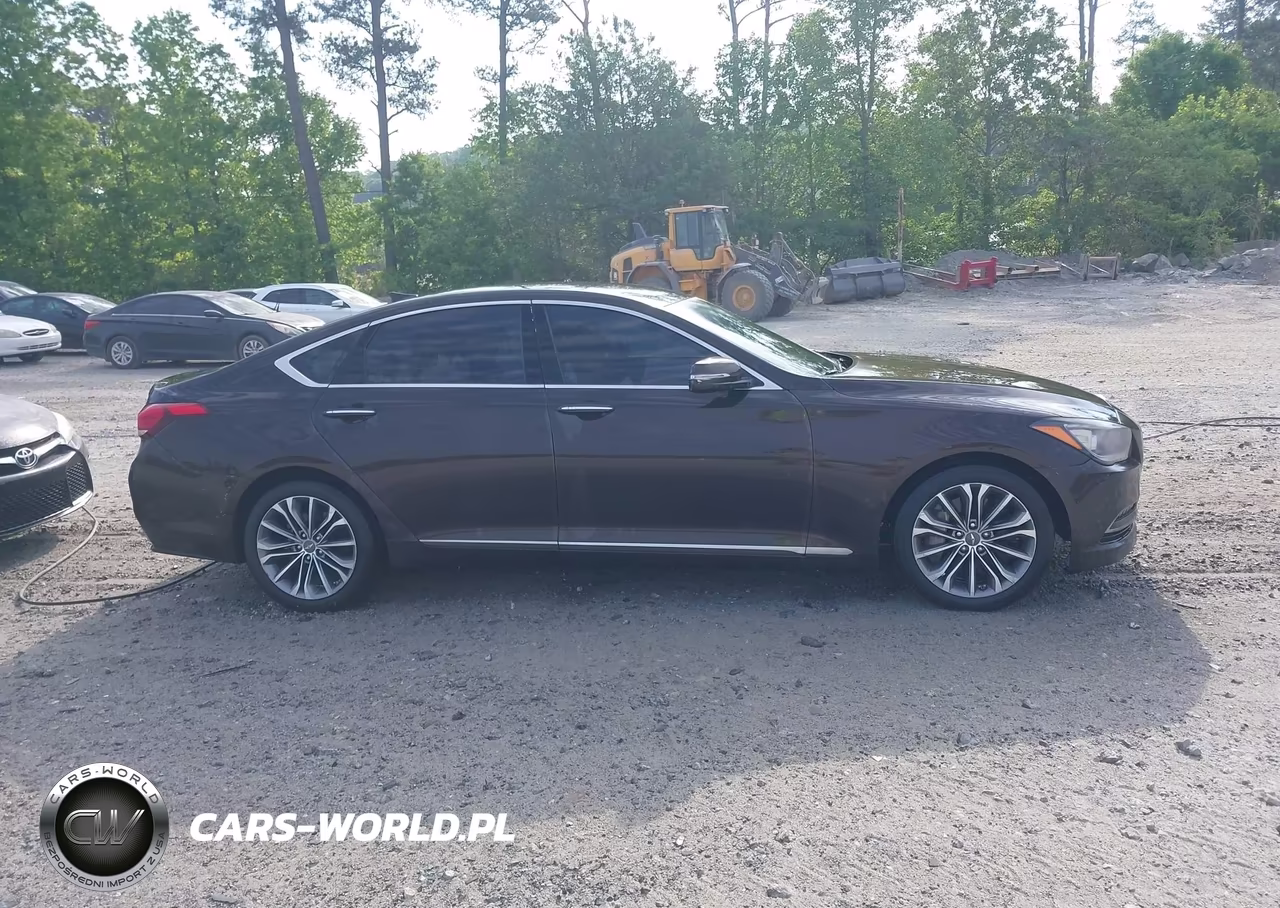 2015 Hyundai Genesis 3.8 VIN:KMHGN4JE5FU066834 - 13