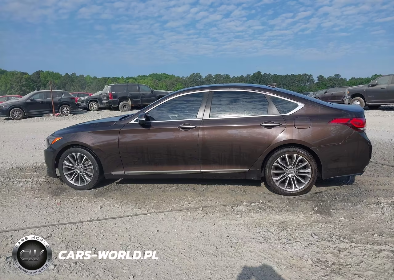 2015 Hyundai Genesis 3.8 VIN:KMHGN4JE5FU066834 - 14