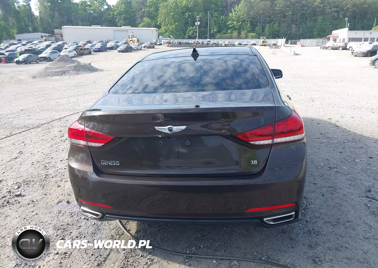 2015 Hyundai Genesis 3.8 VIN:KMHGN4JE5FU066834 - 16