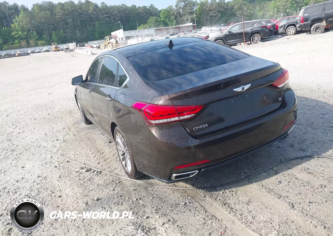 2015 Hyundai Genesis 3.8 VIN:KMHGN4JE5FU066834 - 3