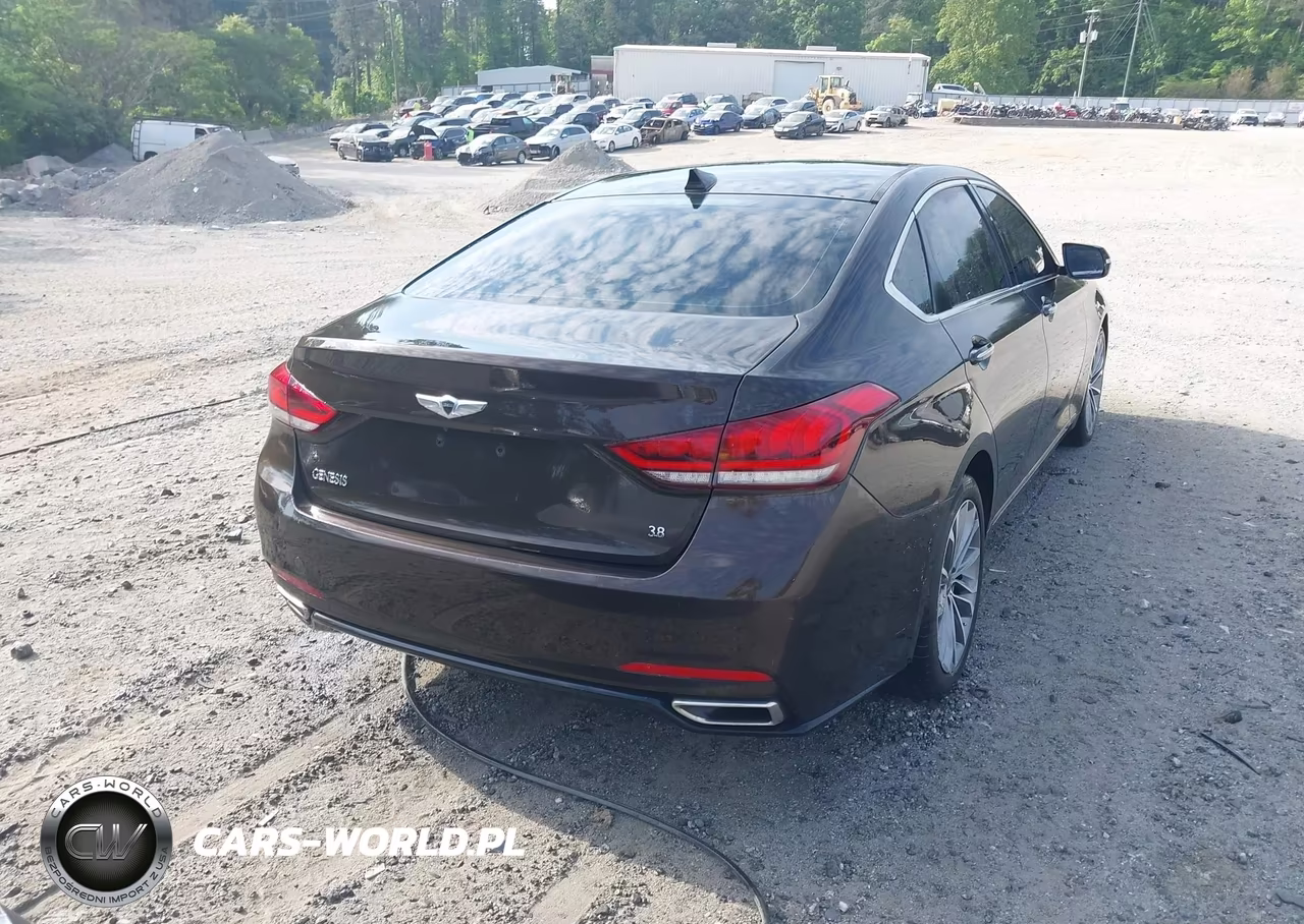 2015 Hyundai Genesis 3.8 VIN:KMHGN4JE5FU066834 - 4