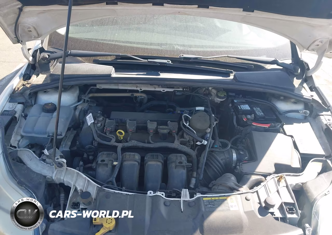 2014 Ford Focus Se VIN:1FADP3F20EL103020 - 10