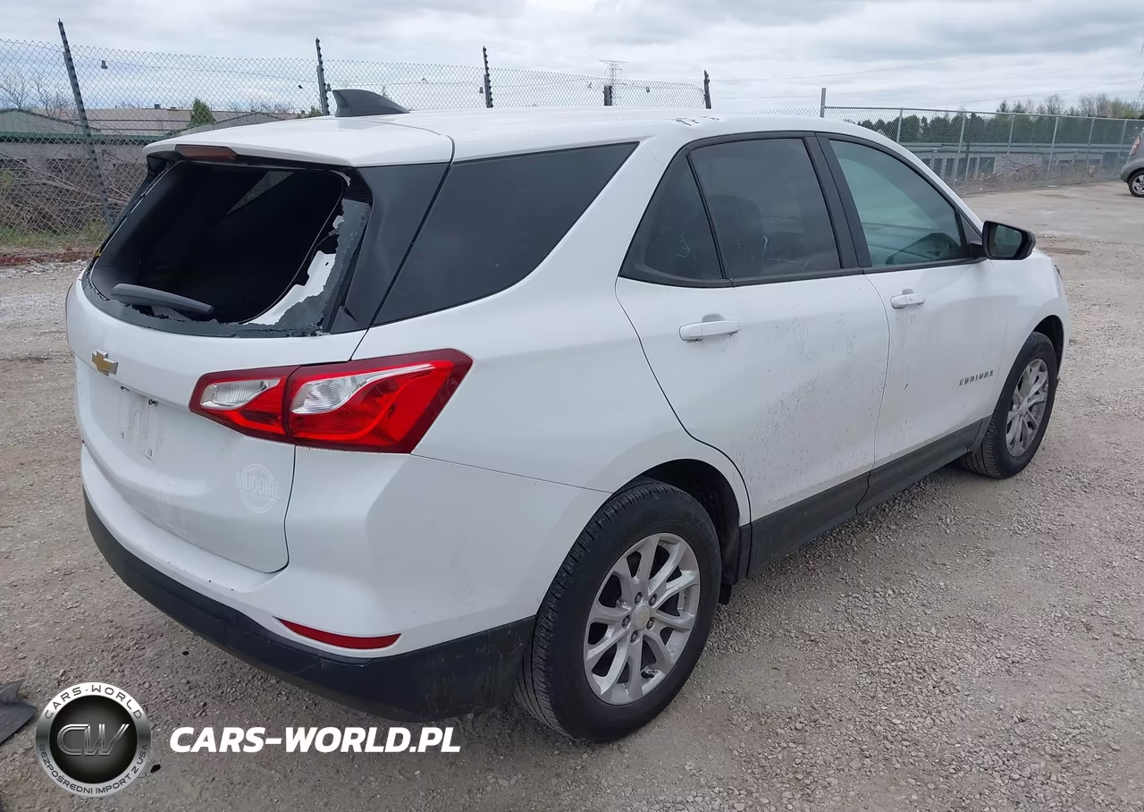 2020 Chevrolet Equinox Fwd Ls VIN:3GNAXHEV9LS649903 - 4