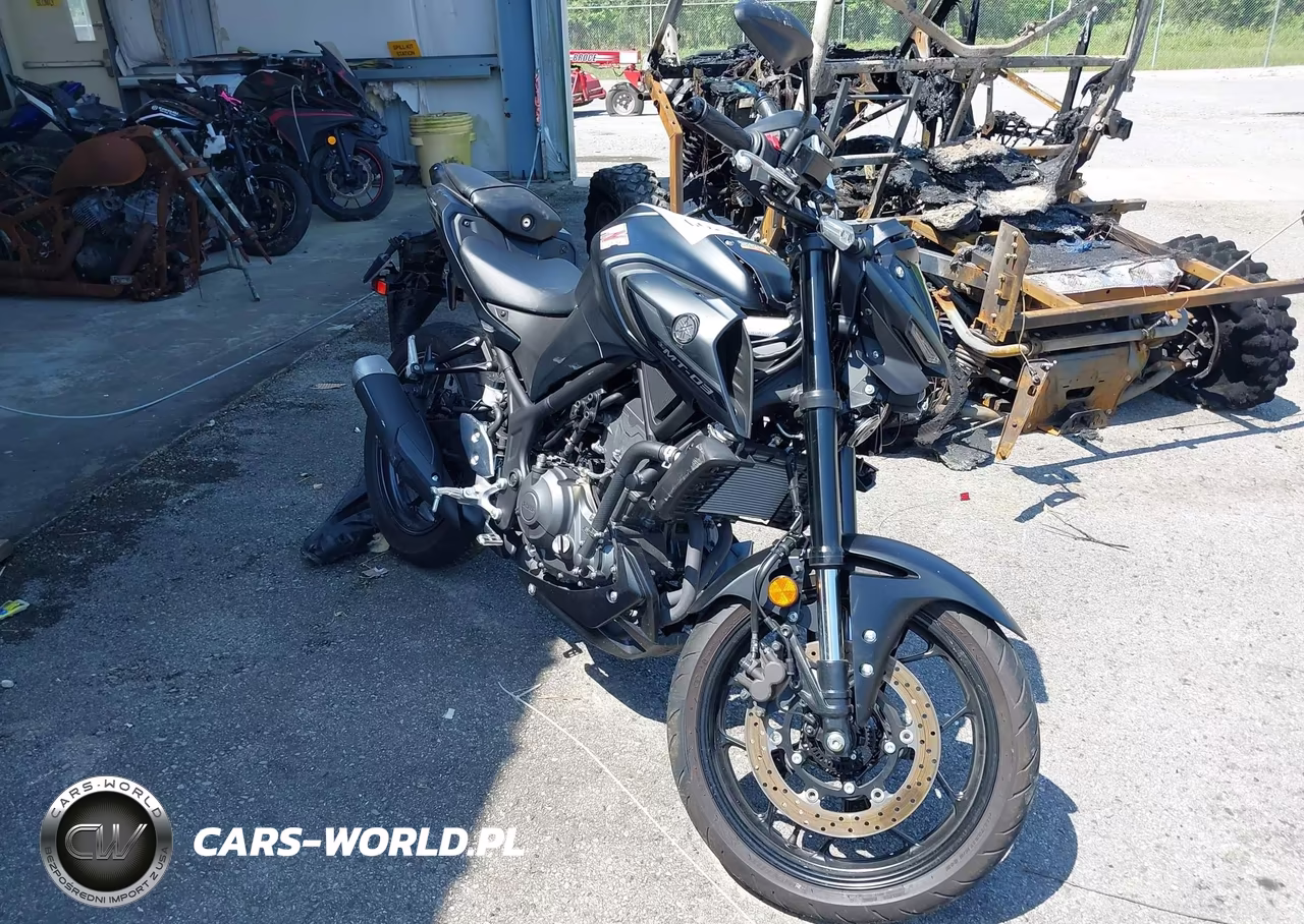 2025 Yamaha Mtn320 A
