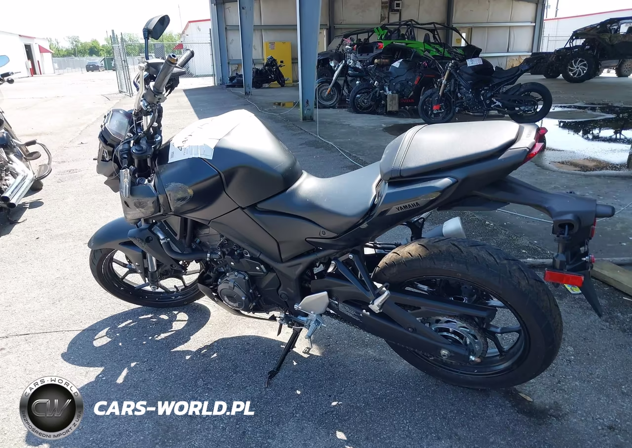 2025 Yamaha Mtn320 A VIN:MH3RH28E0SK002271 - 13