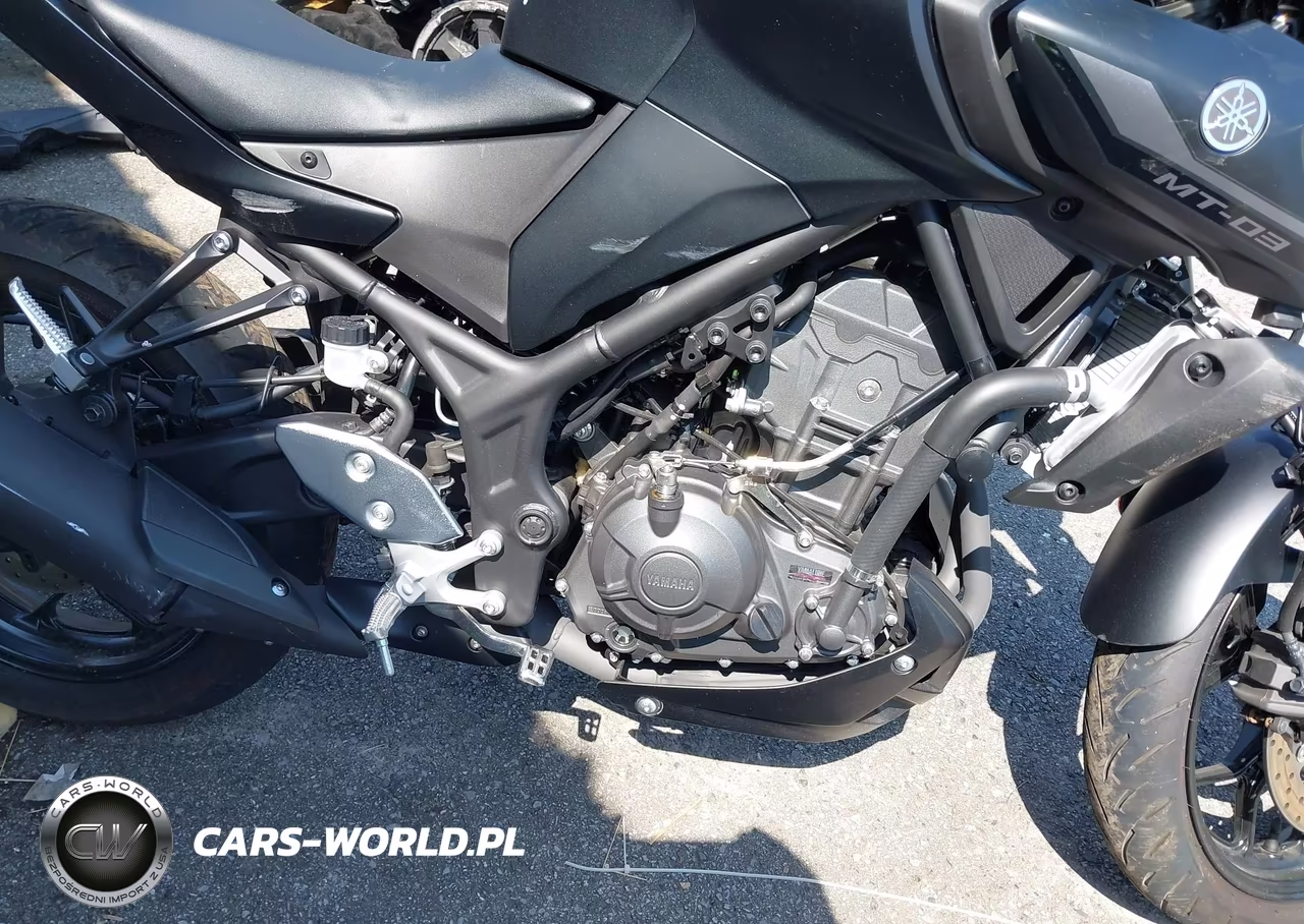 2025 Yamaha Mtn320 A VIN:MH3RH28E0SK002271 - 8