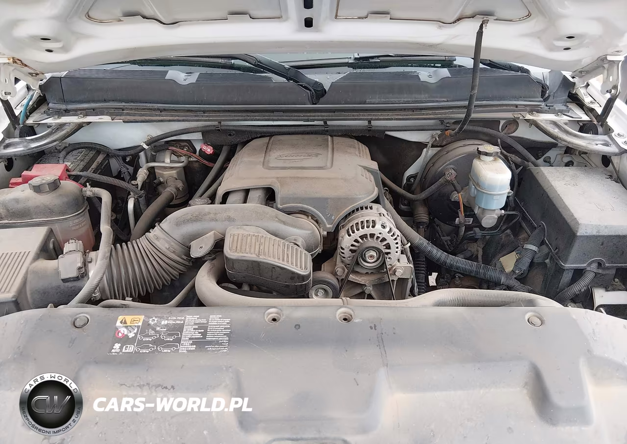 2010 Chevrolet Silverado 1500 Ls VIN:3GCRCREA8AG179079 - 10
