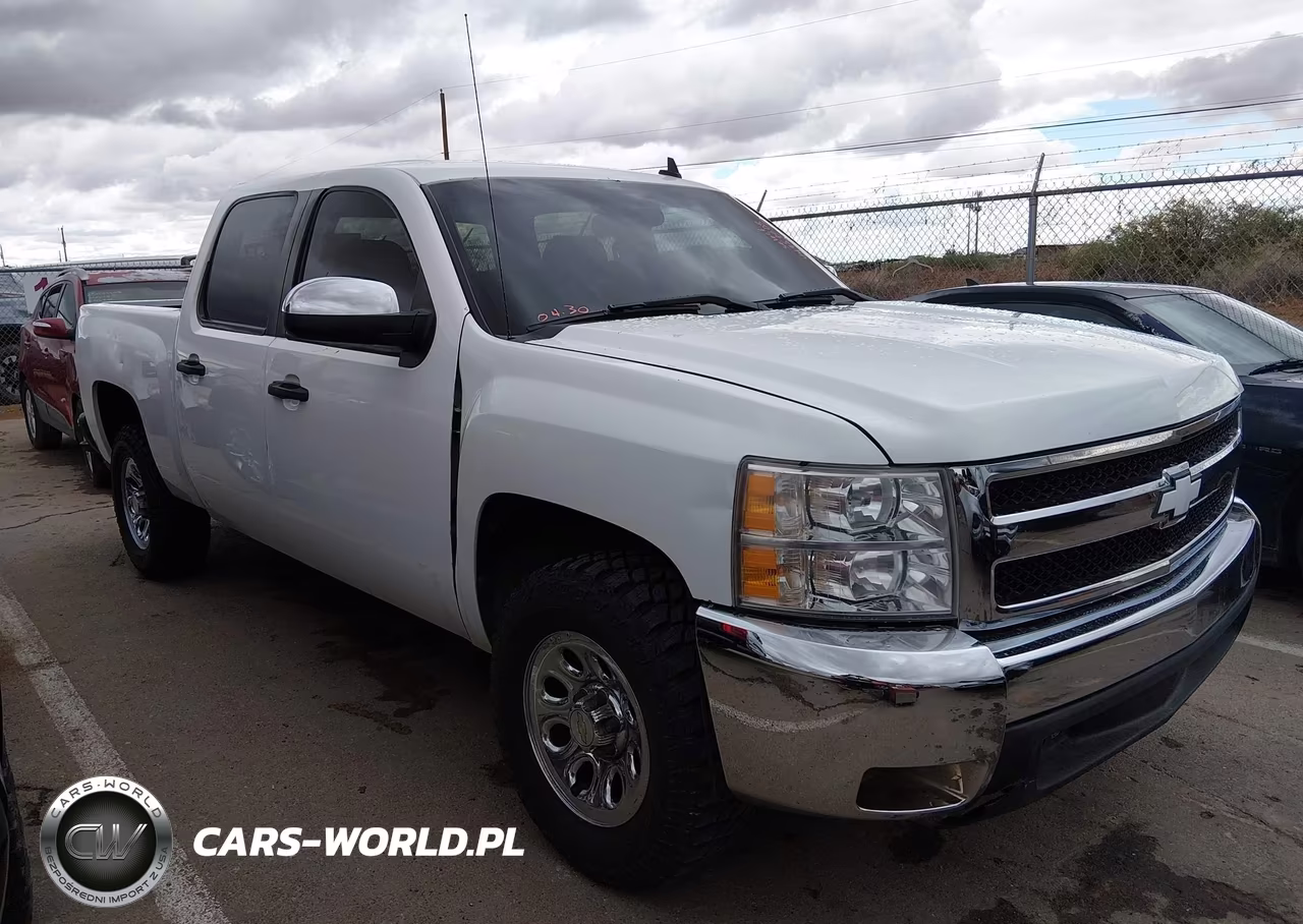 2010 Chevrolet Silverado 1500 Ls VIN:3GCRCREA8AG179079 - 13