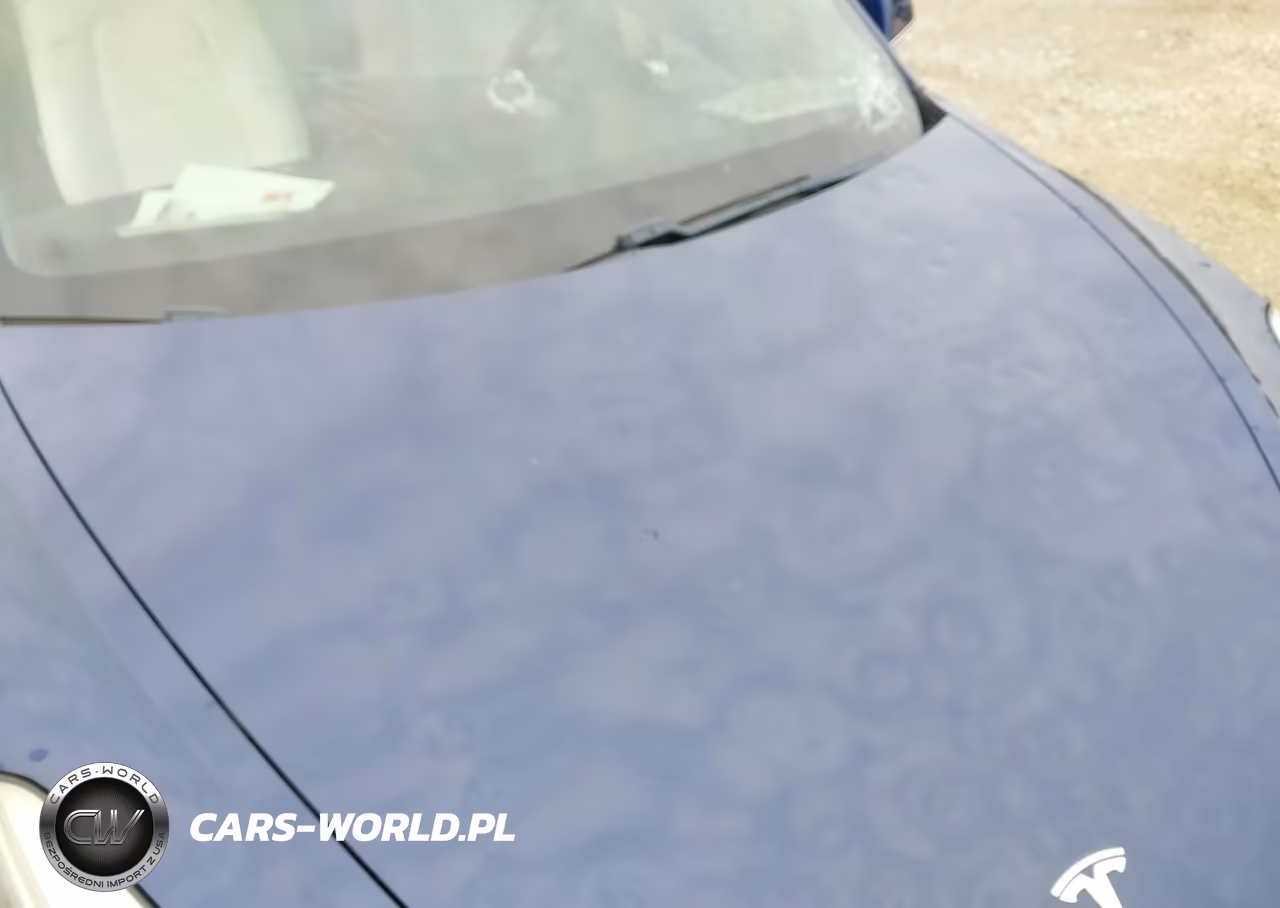 2019 Tesla Model 3 Long Range-Performance VIN:5YJ3E1EB4KF192638 - 6