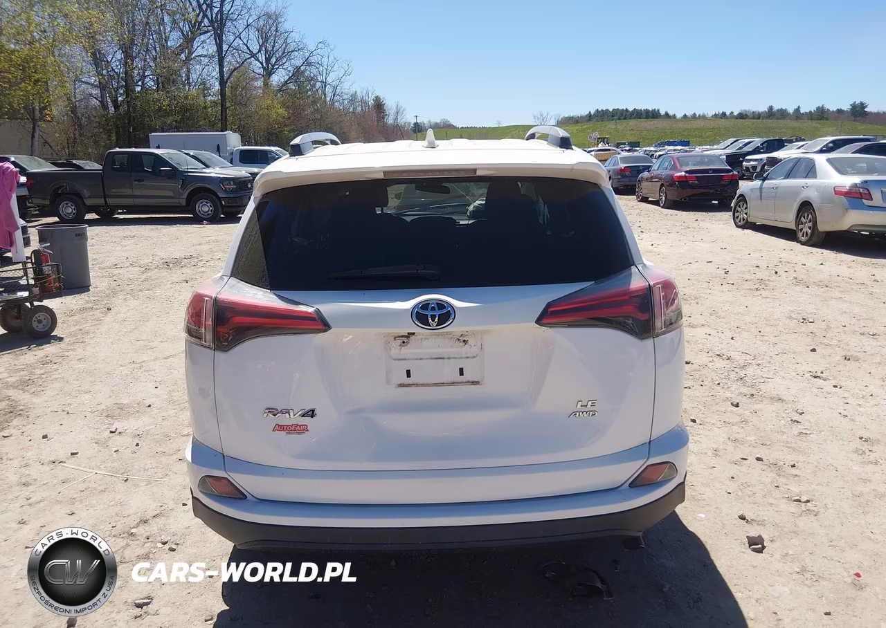 2017 Toyota Rav4 Le VIN:2T3BFREV6HW618608 - 16