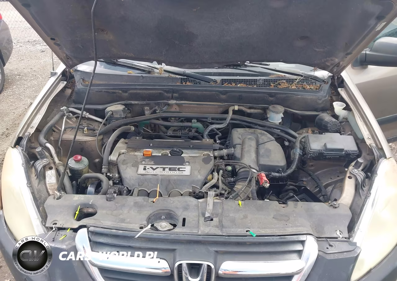 2004 Honda Cr-V Lx VIN:JHLRD68444C020121 - 10