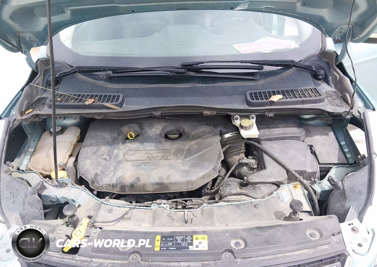 2013 Ford Escape Sel VIN:1FMCU9H9XDUC74602 - 10