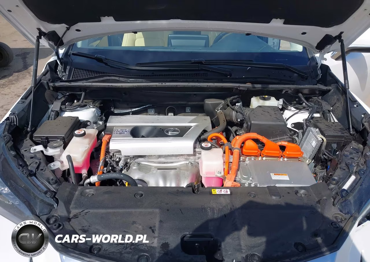 2021 Lexus Nx 300H VIN:JTJDJRDZ4M5011813 - 10