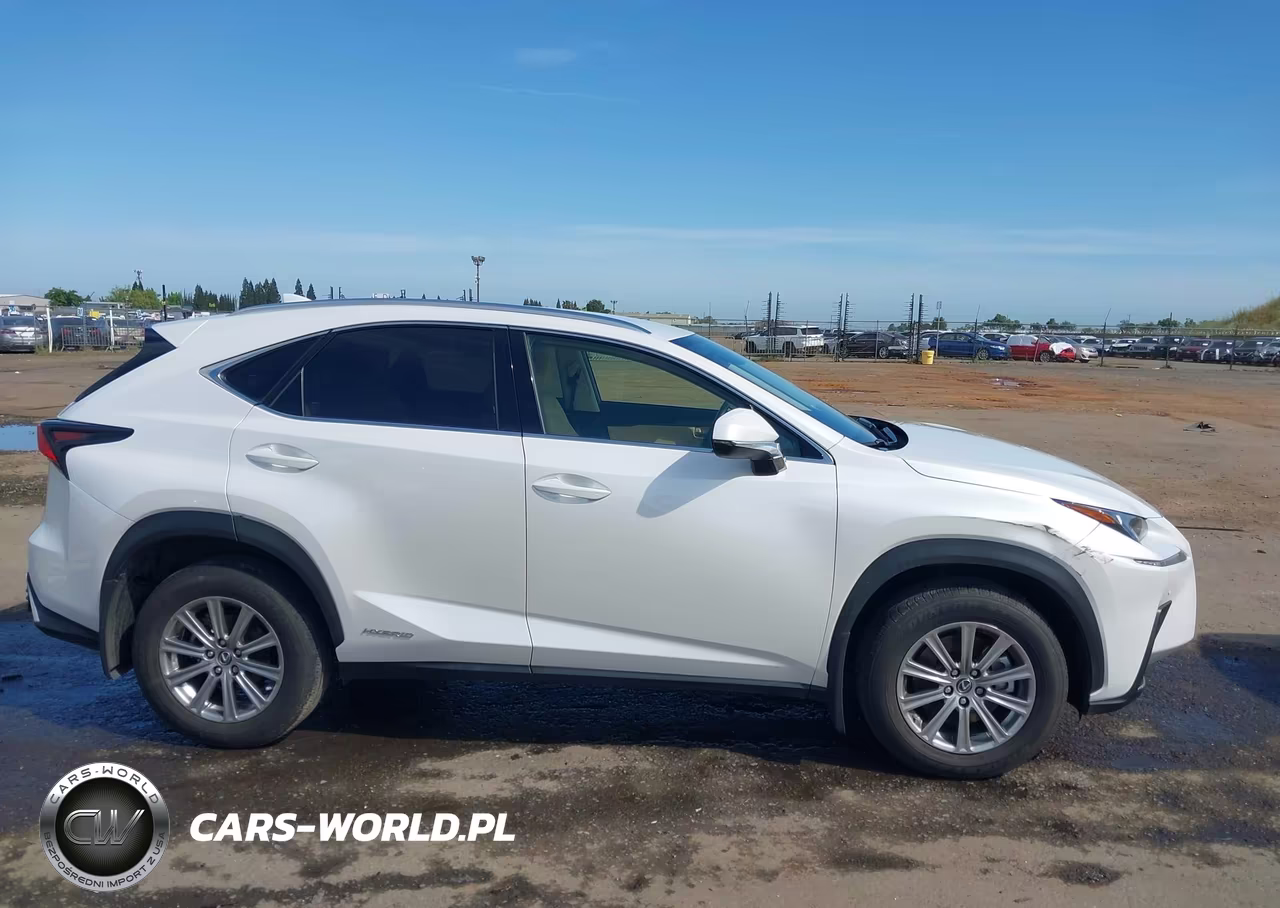 2021 Lexus Nx 300H VIN:JTJDJRDZ4M5011813 - 13