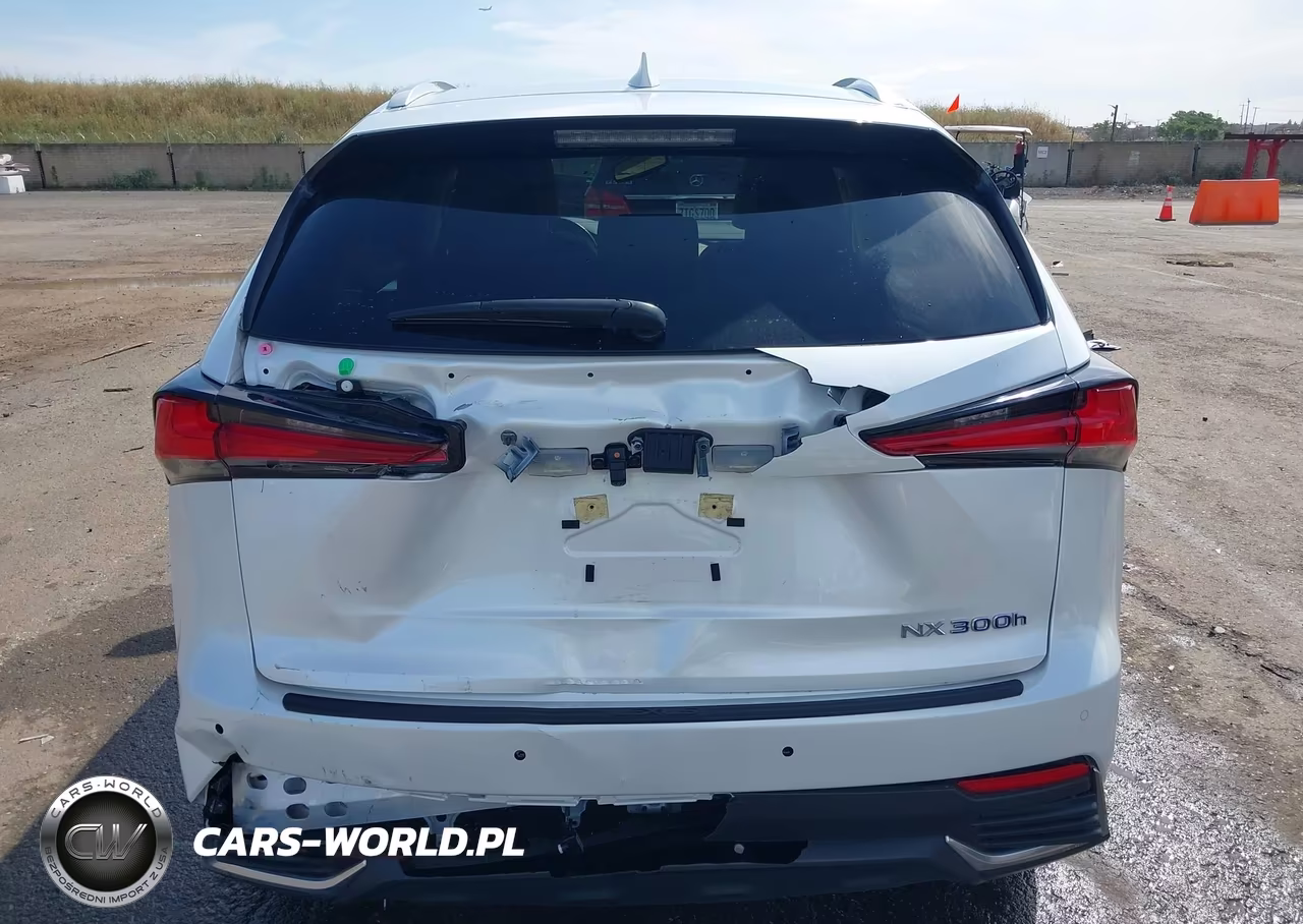 2021 Lexus Nx 300H VIN:JTJDJRDZ4M5011813 - 16